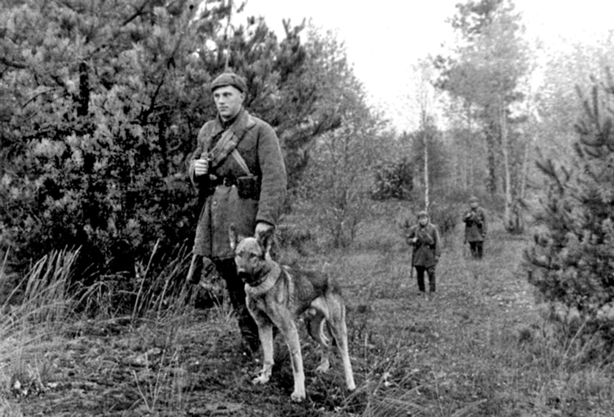 Западная Белоруссия, пограничный наряд на охране новых рубежей, осень 1939 года.